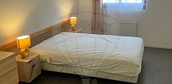 Appartement 1 chambre(s) à louer - Toulouse - Photo 2