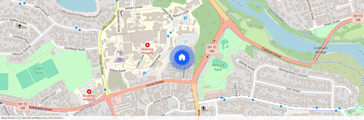 17 Dowding Street, Melville, Hamilton City