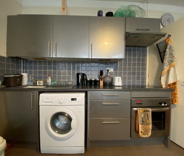 Llanbleddian Gardens GFF, Cathays - Photo 3