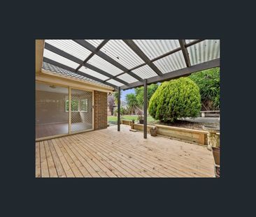 Freshly Updated Family Home in a Convenient Location - Photo 5