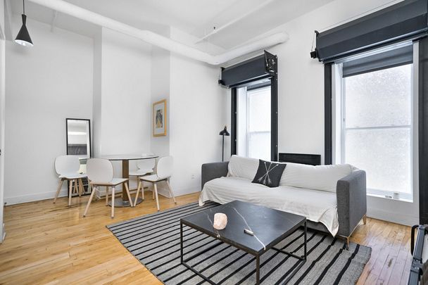 Furnished Loft - Photo 1