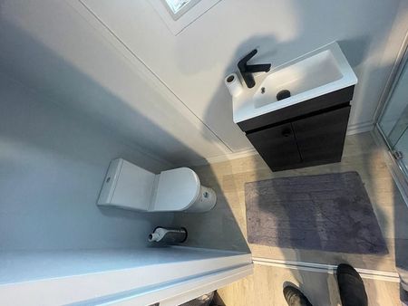 Brand New 1 Bdrm studio inclu Power Pets allowed - Photo 4