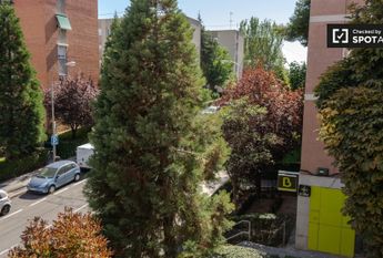 madrid, Community of Madrid 28033