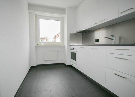 Modern apartment in the immediate vicinity of the lake - Photo 4