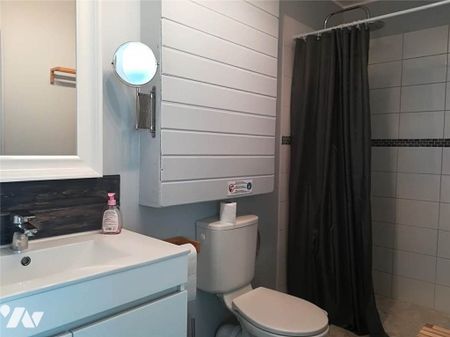 LOCATION MAISON MEUBLEE 2 PIECES - TILLY - Photo 4