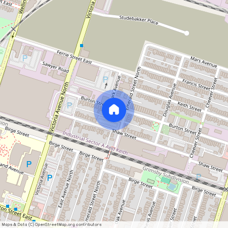 58 Burton Street, Hamilton