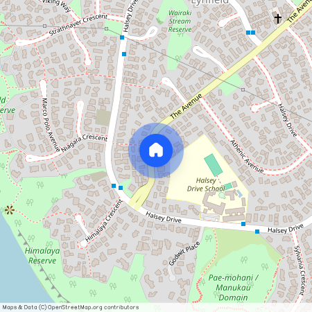 100 The Avenue, Lynfield, Auckland City