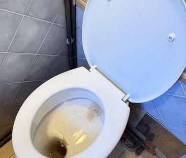 GUT eingeteilte Kleinwohnung in Eggenberg- Nähe FH - Foto 6