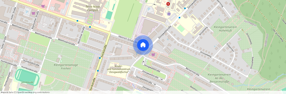 Heinrich-Schütz-Straße 138, 09130 Chemnitz