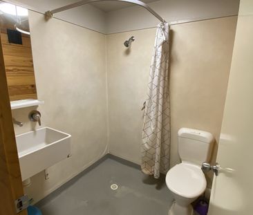 Studio Apartment in the Heart of Wellington! - Photo 4