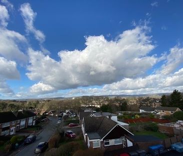 Clearwater Way - Photo 3