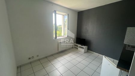 Appartement Oullins Pierre Benite 1 pièce(s) 18 m2 - Photo 3