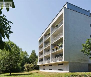 Pronájem bytu 2+kk s lodžií a garážovým stání, Lidická ul. Plzeň - Photo 3
