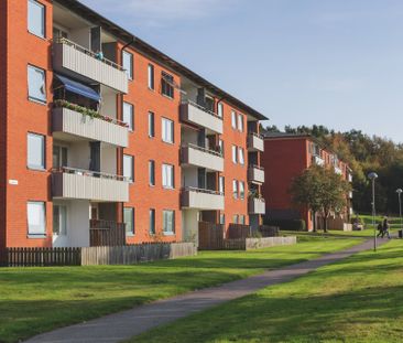 Pilegården 8 D - Foto 4