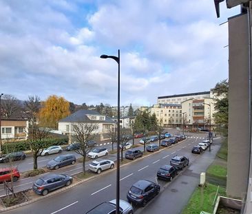 Location Appartement 2 pièces 37m² THIONVILLE 57100 - Photo 3