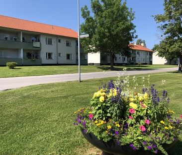 Nygatan, Tierp - Photo 2