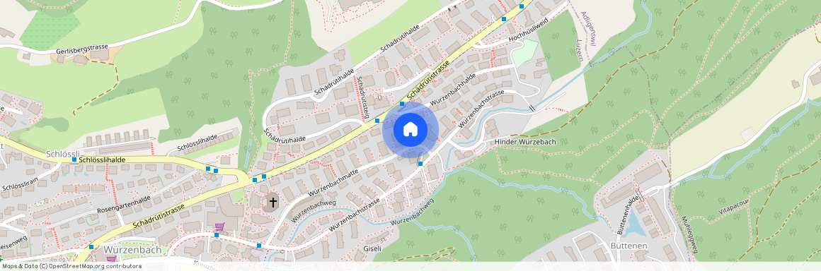 6006, Luzern, Würzenbachmatte, 35