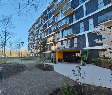 Te huur: Appartement Groningensingel in Arnhem - Photo 3