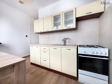 Pronájem bytu 2+1 52 m² - Photo 3