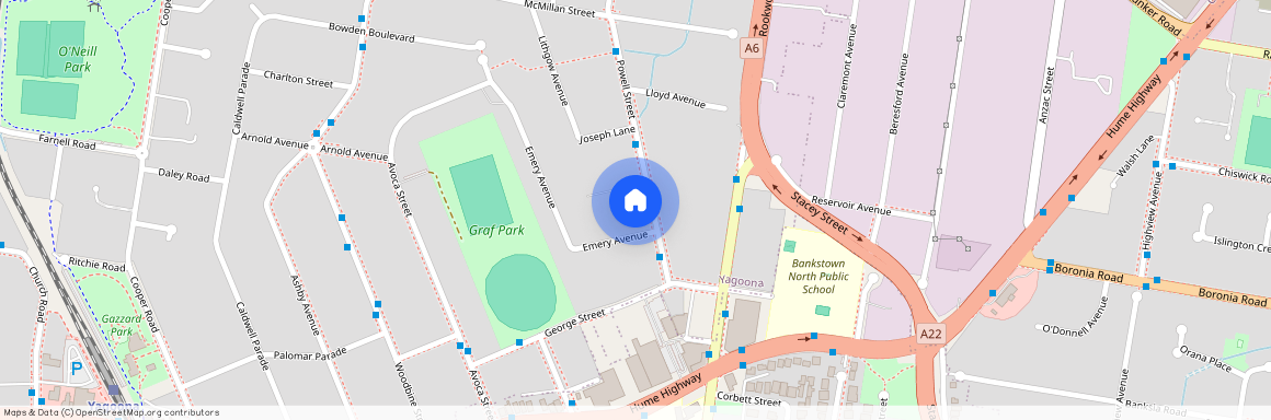 62A Powell Street, NSW 2199, Yagoona