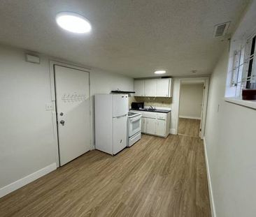 Newly Renovated Downtown 1-bedroom Suit - Photo 3