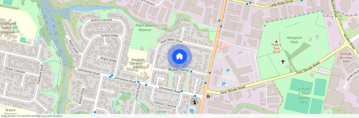 6 Matamata Place, Otara, Manukau City