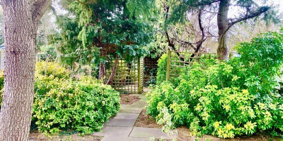 Creek Road - Photo 3