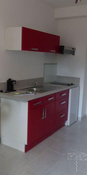 Appartement Montpellier 1 pièce(s) 17 m2, - Photo 1