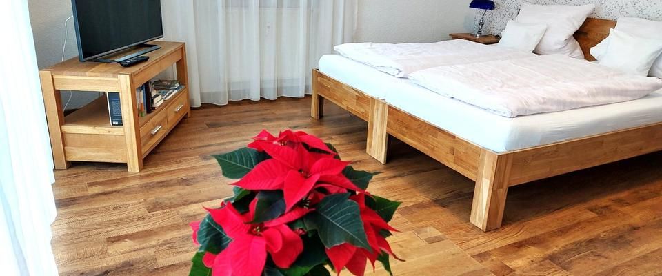 1-Zimmer-Wohnung möbliert, ca. 40m², Balkon, zentrale Lage - Photo 1