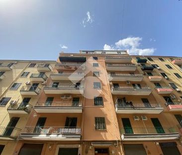 Trilocale in affitto - Photo 4