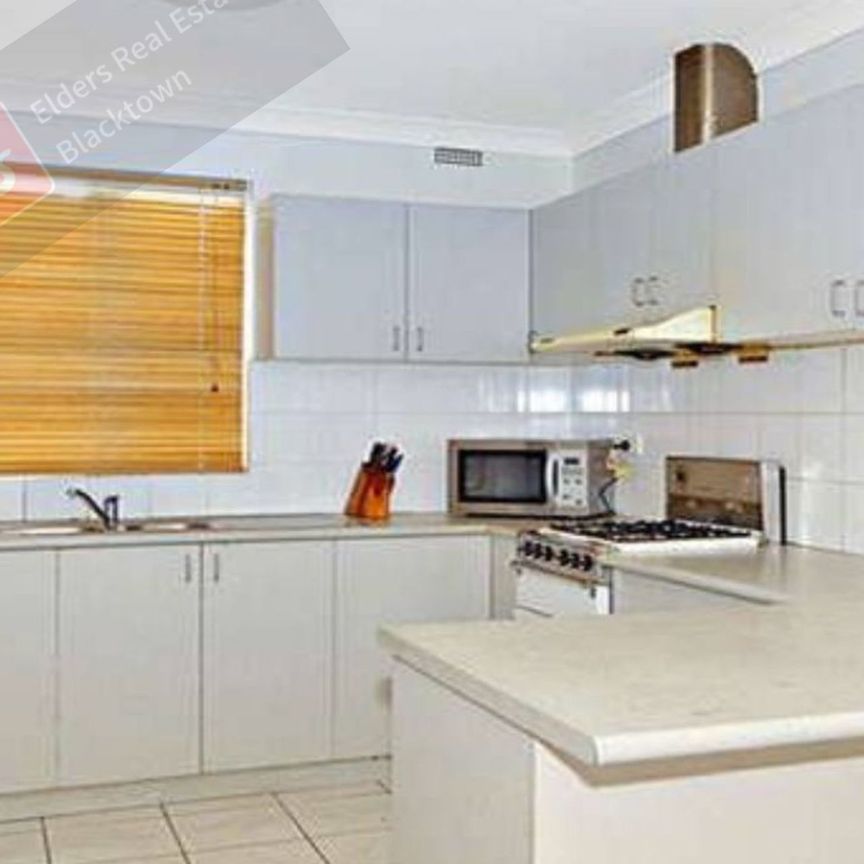 2/103 Elizabeth Street - Photo 1