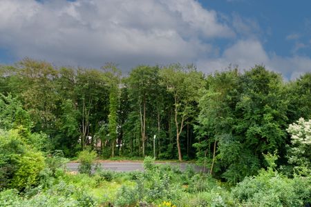 Umgebung - 33142 Büren - Photo 4