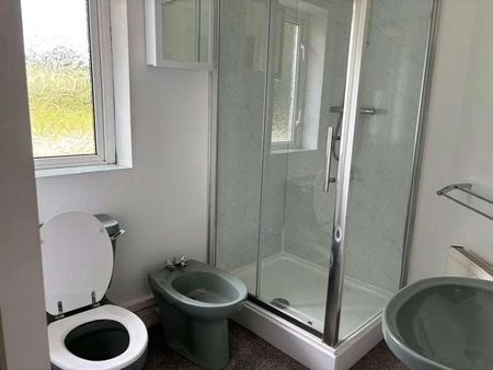 Bache Mill, Diddlebury, Craven Arms, Shropshire, SY7 - Photo 5