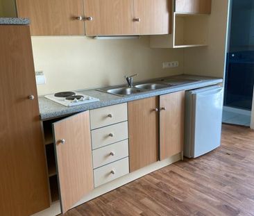 Location Appartement 1 pièce 19m² NANTES 44000 - Photo 1