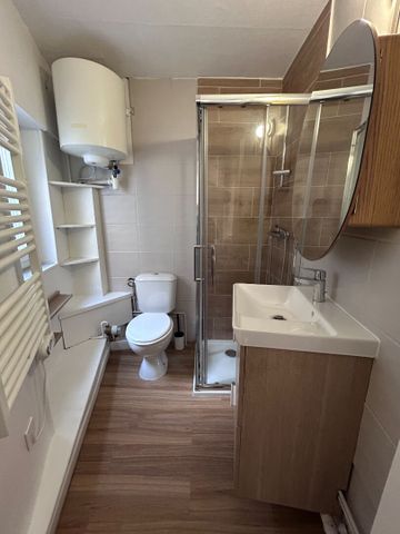 Location Appartement 1 pièce 20m² - Photo 3