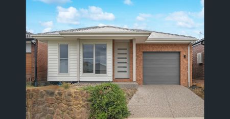 Light Filled 4-Bedroom Home - Photo 2