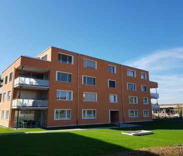 Kaisten / 3.5-room apartment on the ground floor A 0.2 - Foto 4