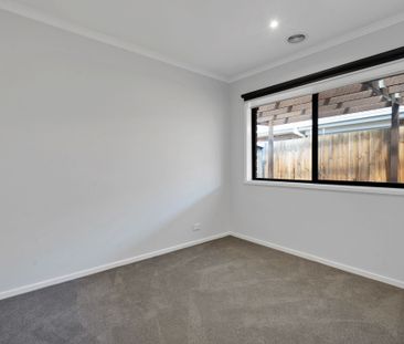 Amazing Amber! - Photo 3