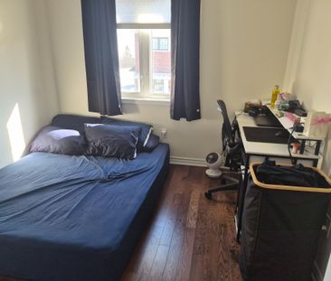 For Lease - 49 CASELY AVE Casely Avenue, Richmond Hill, Ontario - Photo 5