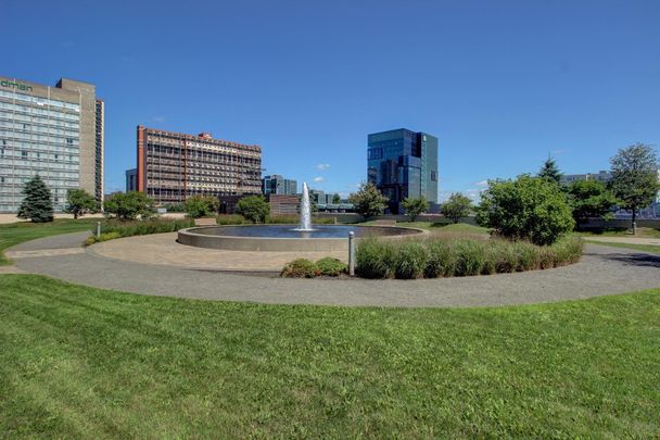 Condo for rent, Longueuil (Le Vieux-Longueuil) - Photo 1