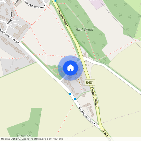 Bird In Hand Lane, Sonning Common, RG4