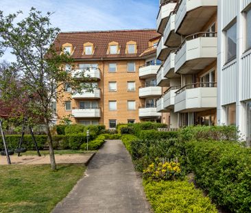 Högamöllegatan, Malmö - Photo 3