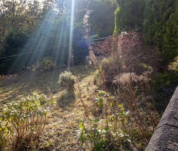 1 bedroom property to rent - Photo 5