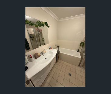 Spacious 3BR Apartment with Mountain Vista ! - Photo 6