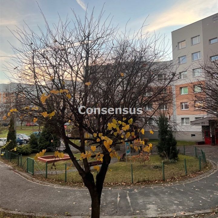 Katowice - Zdjęcie 1