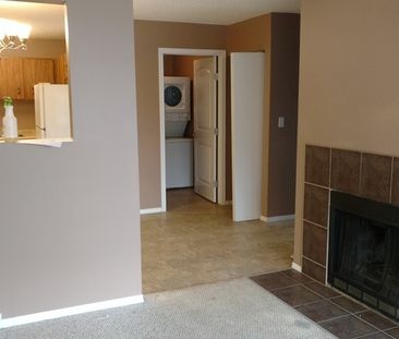 For Rent – 2 Bedroom - Photo 5