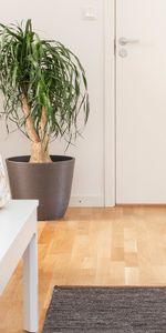 Nicolai Gränd, Skara - Foto 4