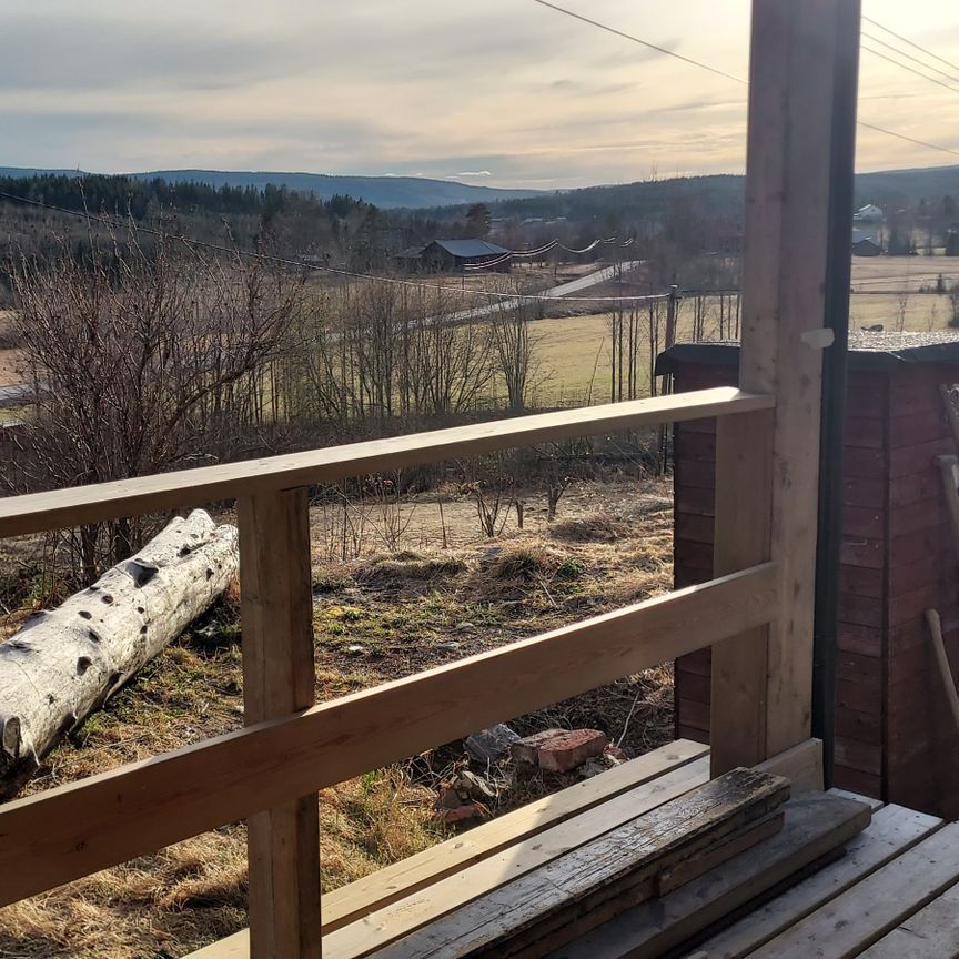Dala, Skog - Foto 1