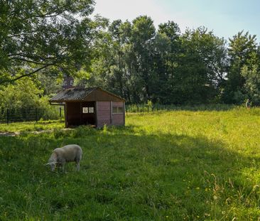 Te huur: Appartement Boekweitkamp in Den Haag - Photo 1