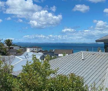 Sunny, modern and private 2bdrm unit with sea view - Photo 4